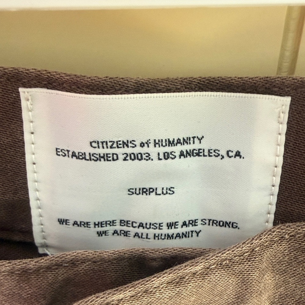 Citizens Of Humanity Dark Brown Barrel Cargo Pants - Picture 2 of 5